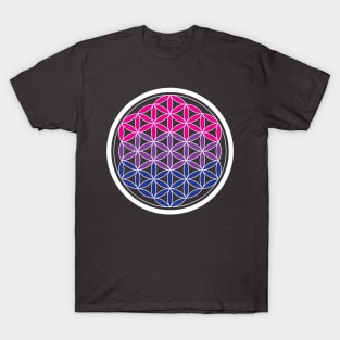 bisexual sacred geometry T-Shirt